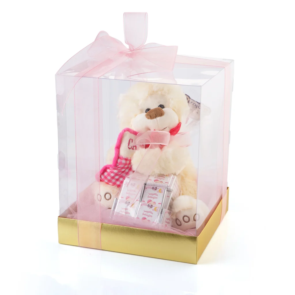 Talking Teddy Bear (Pink)